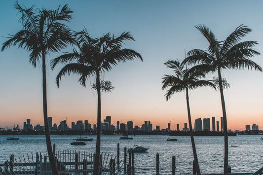 Elevating Your Client's Social Media Presence with Stunning Miami Photos